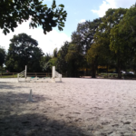 Riding arena - with jumps, dressage letters, and trees.